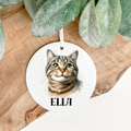 Tabby Cat AIr freshener 8.1 cm diameter choice of fragrances printed both sides with a beautiful realistic tabby cat on