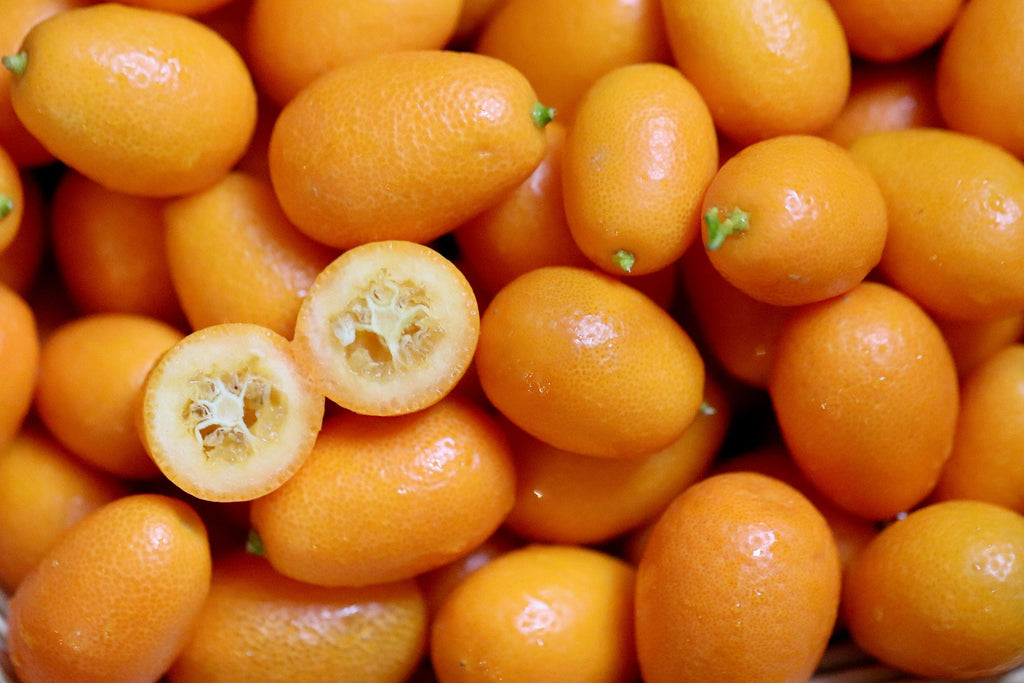 Kumquat seeds x5